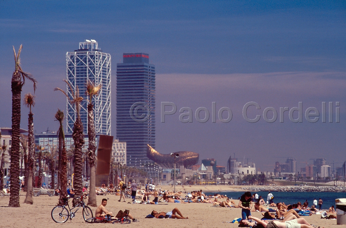 Barcelona, Sapin
 (cod:Barcelona 07)